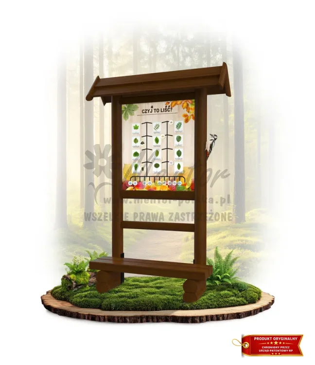 LN30 - Czyj to liść_brąz_mini_webp.webp