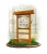 LN43 - Jaki to ptak III_dąb_mini_webp.webp