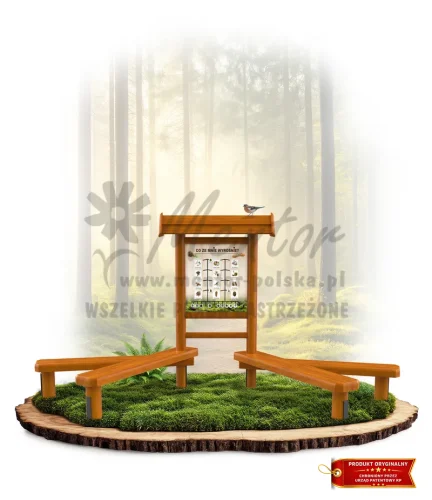 LN01 - Co ze mnie wyrośnie_dąb_mini_webp.webp