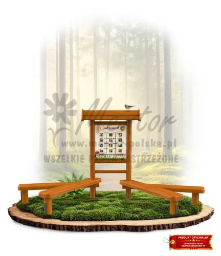 LN09 - Jaki to grzyb_dąb_mini_webp.webp