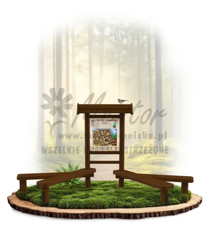 LN12 - Z wizytą w mrowisku_brąz_mini_webp.webp