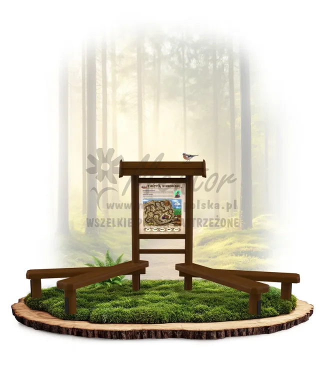 LN12 - Z wizytą w mrowisku_brąz_mini_webp.webp