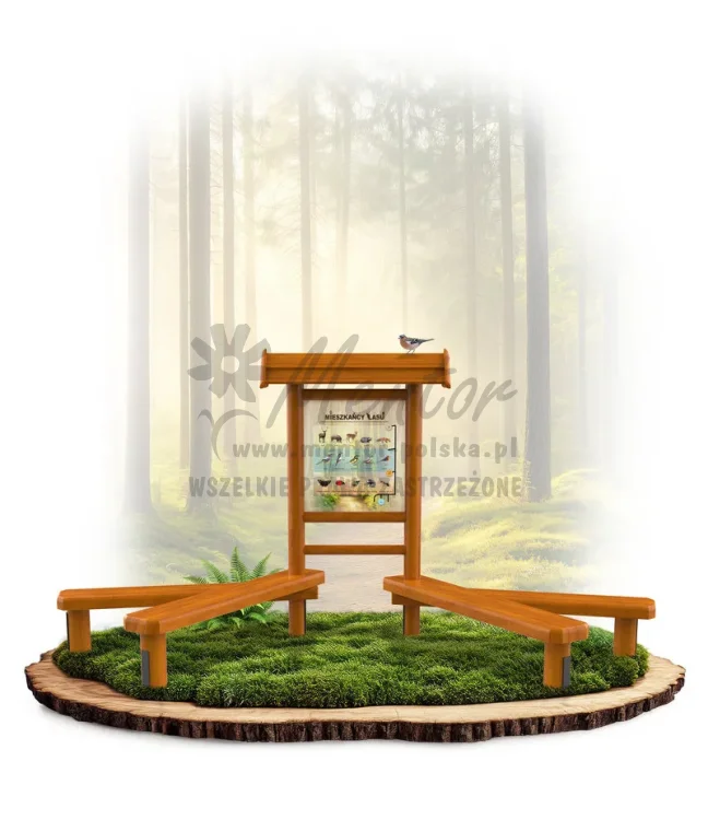 LN45 - Mieszkańcy lasu_dąb_mini_webp.webp