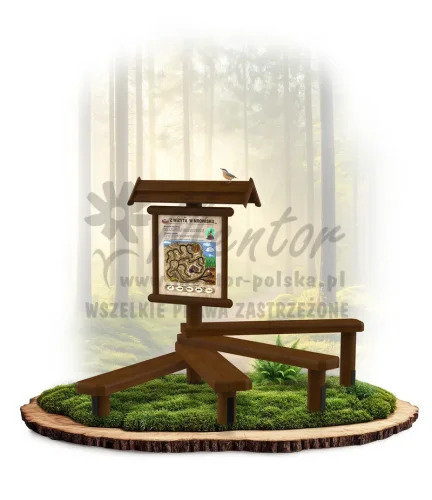 LN12 - Z wizytą w mrowisku_brąz_mini_webp.webp