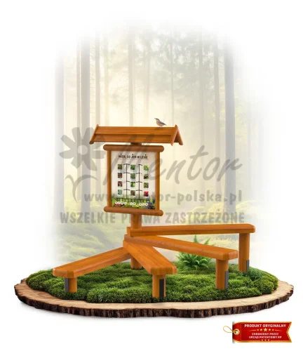 LN24 - Wiem co jem w lesie_dąb_mini_webp.webp