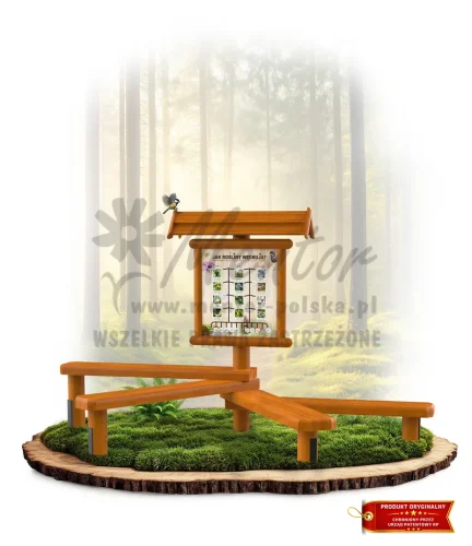 LN27 - Jak wędrują rośliny_dąb_mini_webp.webp