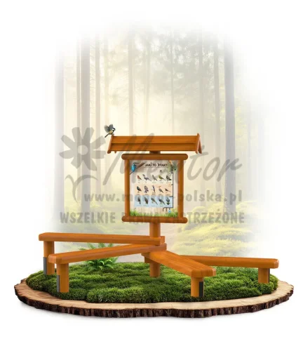 LN43 - Jaki to ptak III_dąb_mini_webp.webp