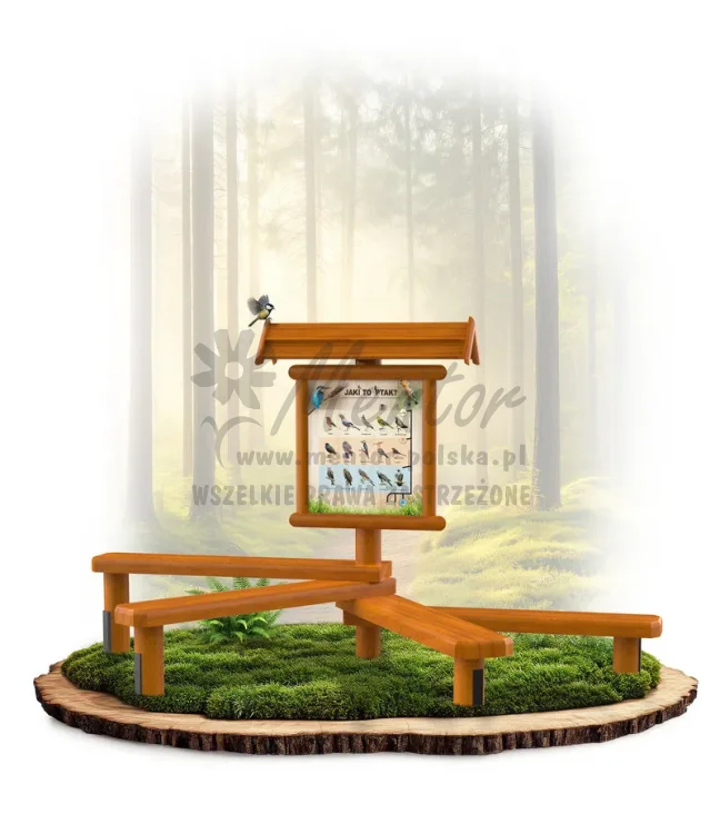 LN43 - Jaki to ptak III_dąb_mini_webp.webp