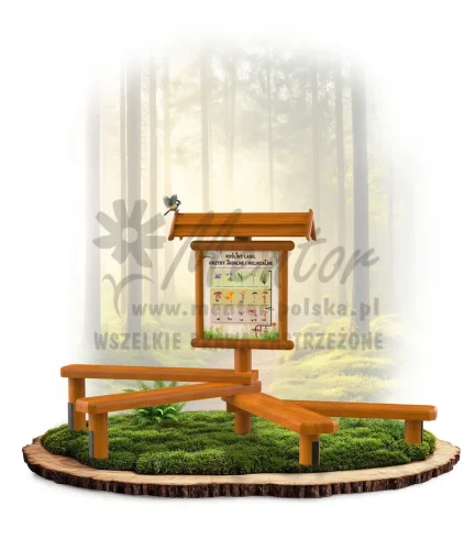 LN44 - Rośliny lasu i grzyby_dąb_mini_webp.webp