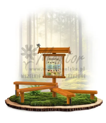 LN45 - Mieszkańcy lasu_dąb_mini_webp.webp