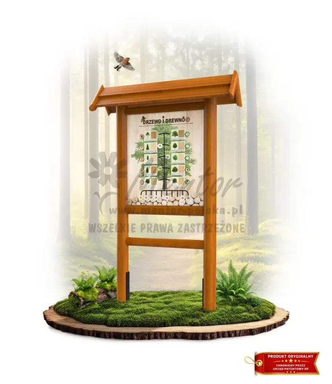 LN40 - Drzewo i drewno_dąb_mini_webp.webp