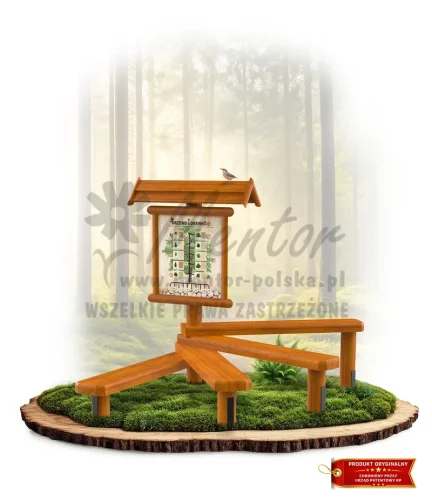 LN40 - Drzewo i drewno_dąb_mini_webp.webp