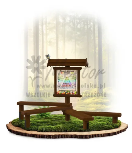 LN34 - Poradnik zdrowego żywienia_brąz_mini_webp.webp