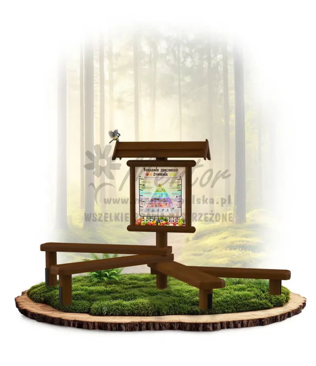 LN34 - Poradnik zdrowego żywienia_brąz_mini_webp.webp