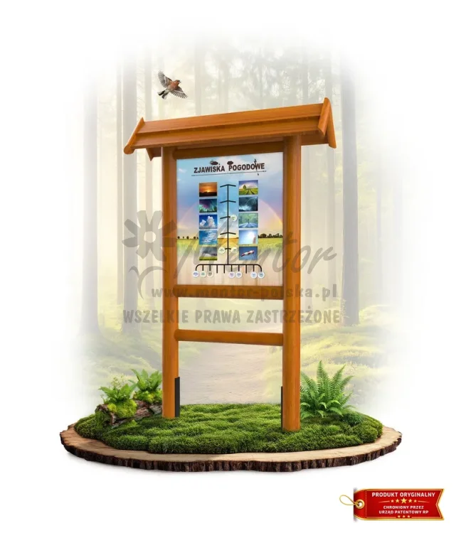 LN33 - Zjawiska pogodowe_dąb_mini_webp.webp