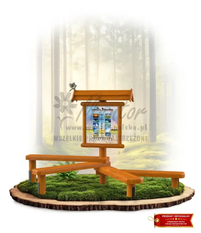 LN33 - Zjawiska pogodowe_dąb_mini_webp.webp