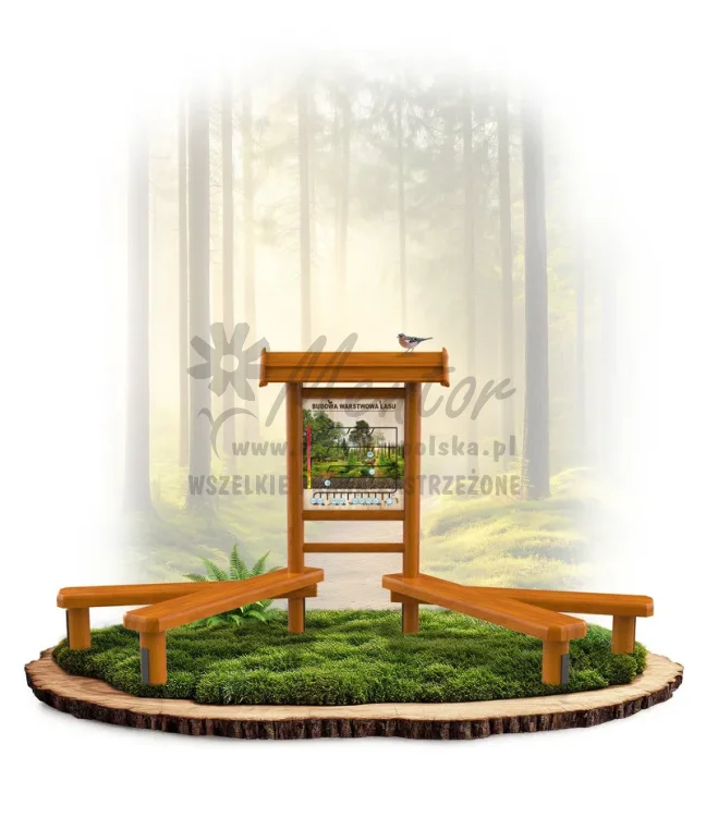 LN51 - Budowa lasu_dąb_mini_webp.webp