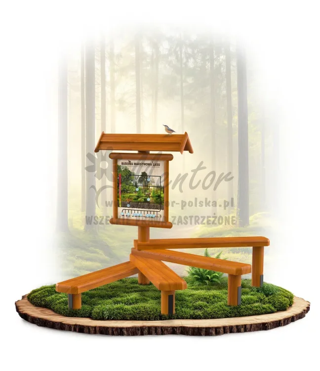 LN51 - Budowa lasu_dąb_mini_webp.webp