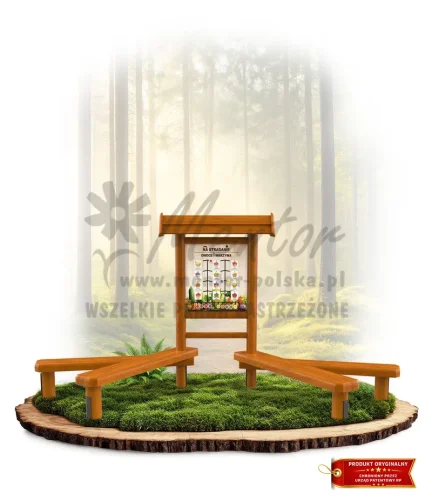 LN49 - Na straganie_dąb_mini_webp.webp