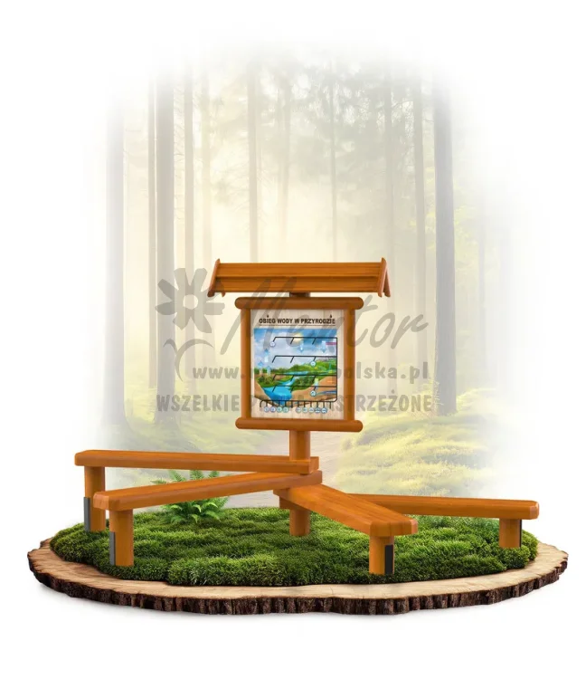 LN48 - Obieg wody w przyrodzie_dąb_mini_webp.webp