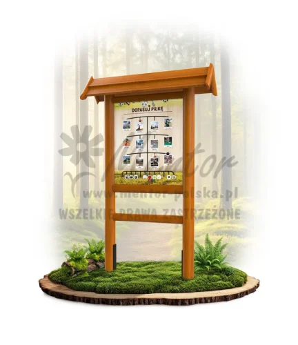 LN21 - Dopasuj piłkę_dąb_mini_webp.webp