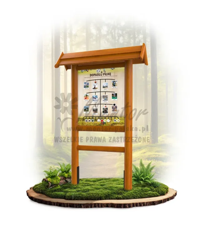 LN21 - Dopasuj piłkę_dąb_mini_webp.webp