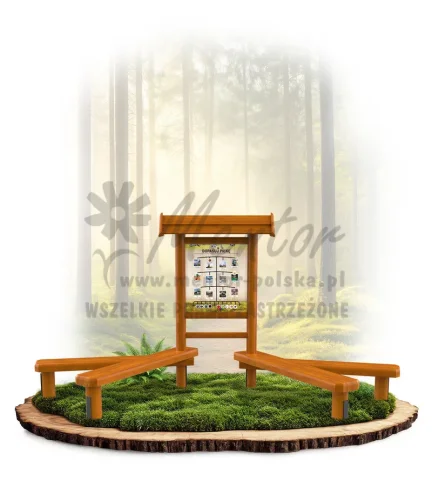 LN21 - Dopasuj piłkę_dąb_mini_webp.webp