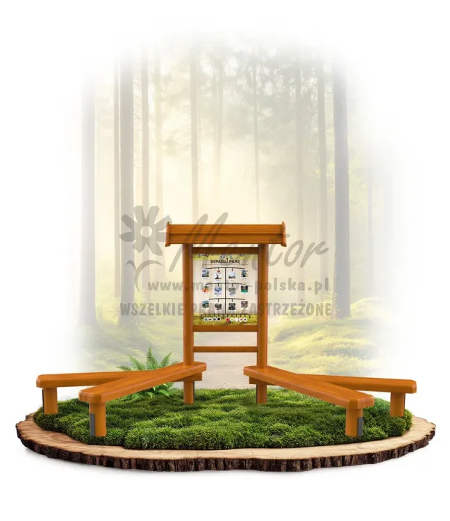 LN21 - Dopasuj piłkę_dąb_mini_webp.webp