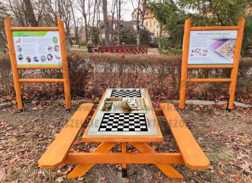ALI - Ławostół z grą edukacyjną (wariant ekonomiczny), realizacja, tematyka: Mikoszachy