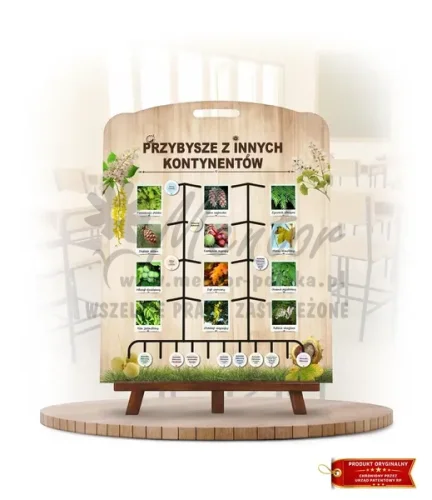 Labirynt Wiedzy - Przybysze z innych kontynentów