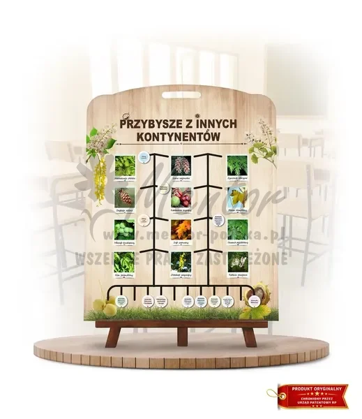Labirynt Wiedzy - Przybysze z innych kontynentów