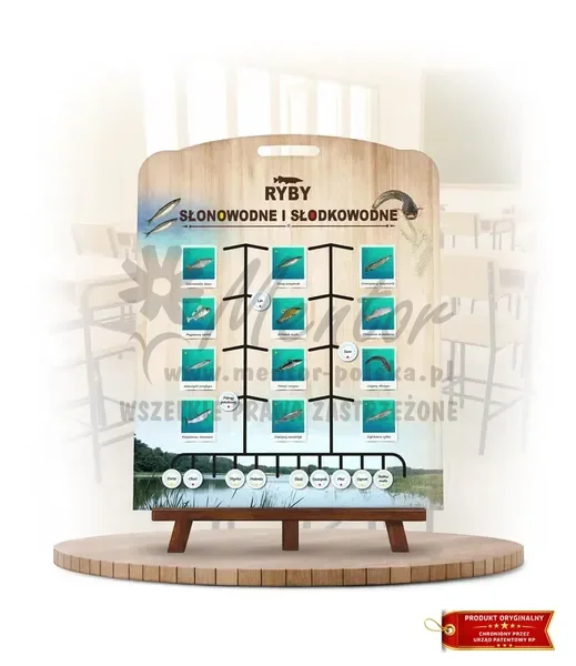 Labirynt Wiedzy - Ryby słonowodne i słodkowodne