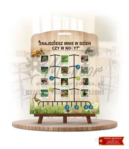 Labirynt Wiedzy - Znajdziesz mnie w dzień czy w nocy?