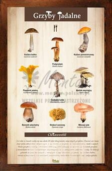 Tablica "Grzyby jadalne" w oprawie drewnianej, kolor brąz