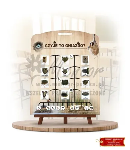 Labirynt Wiedzy - Czyje to gniazdo?