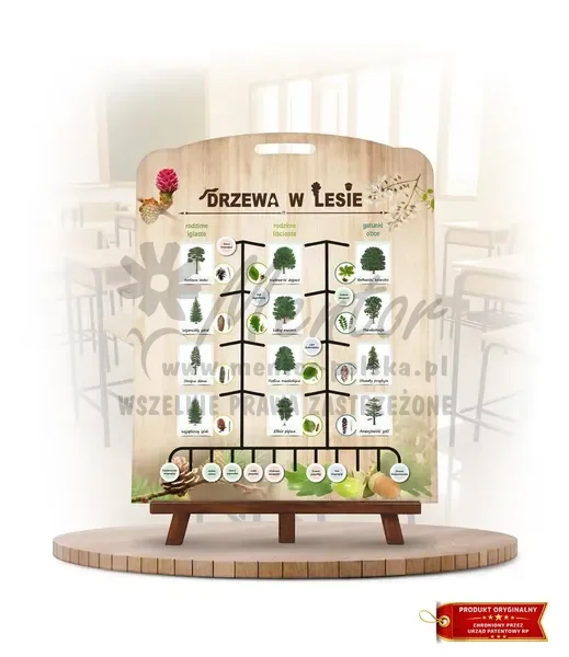 Labirynt Wiedzy - Drzewa w lesie