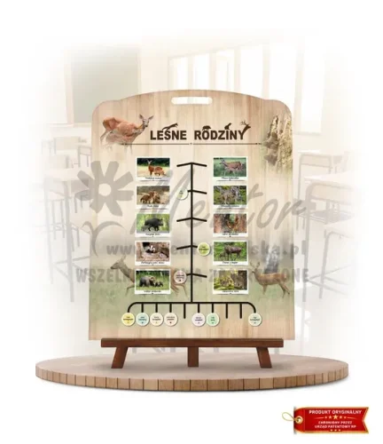 Labirynt Wiedzy - Leśne rodziny