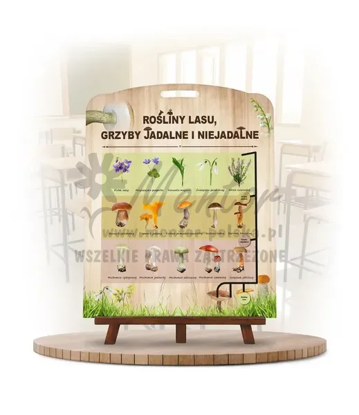 Labirynt Wiedzy - Rośliny lasu i grzyby
