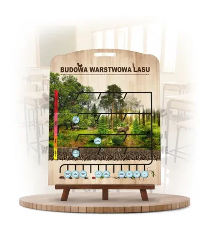 Labirynt Wiedzy - Budowa lasu