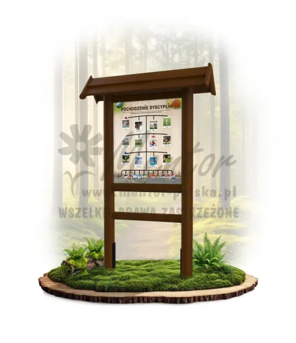 LN22 - Pochodzenie dyscyplin_brąz_mini_webp.webp