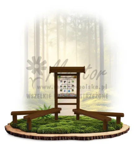 LN22 - Pochodzenie dyscyplin_brąz_mini_webp.webp