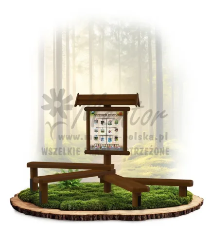 LN22 - Pochodzenie dyscyplin_brąz_mini_webp.webp