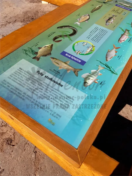 Ławostół edukacyjny - Ryby - Smaczne i zdrowe