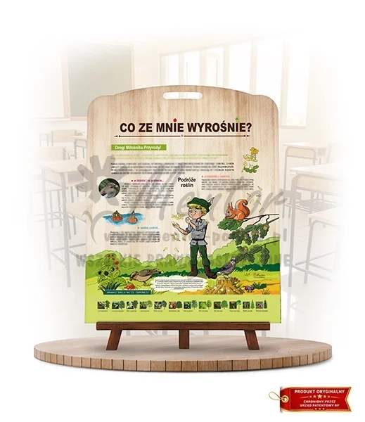 Labirynt Wiedzy - Co ze mnie wyrośnie? (wersja foto)_rewers