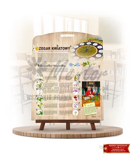 Labirynt Wiedzy - Zegar kwiatowy_rewers