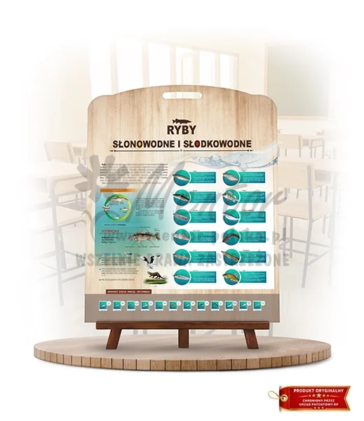 Labirynt Wiedzy - Ryby słonowodne i słodkowodne_rewers