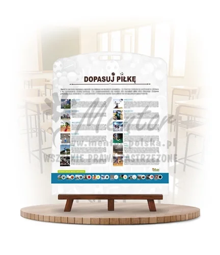 Labirynt Wiedzy - Dopasuj piłkę_rewers