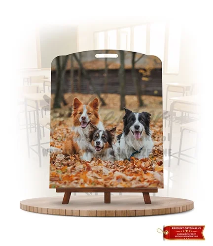 Labirynt Wiedzy - Rasy psów_rewers