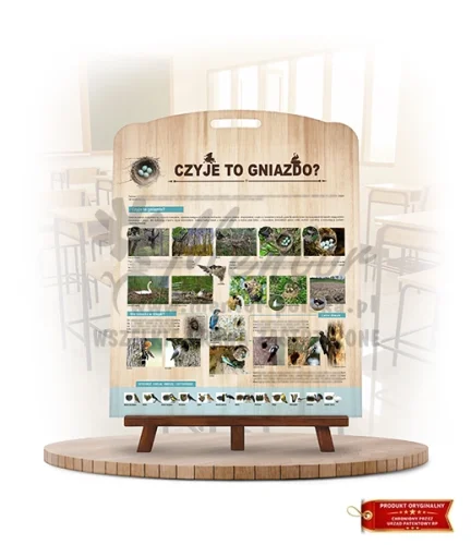 Labirynt Wiedzy - Czyje to gniazdo?_rewers