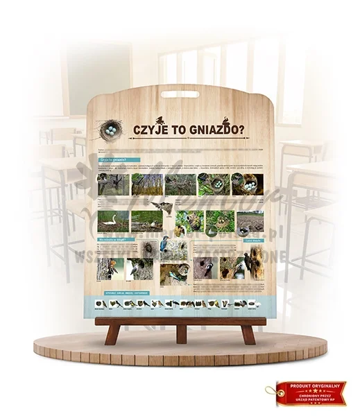 Labirynt Wiedzy - Czyje to gniazdo?_rewers